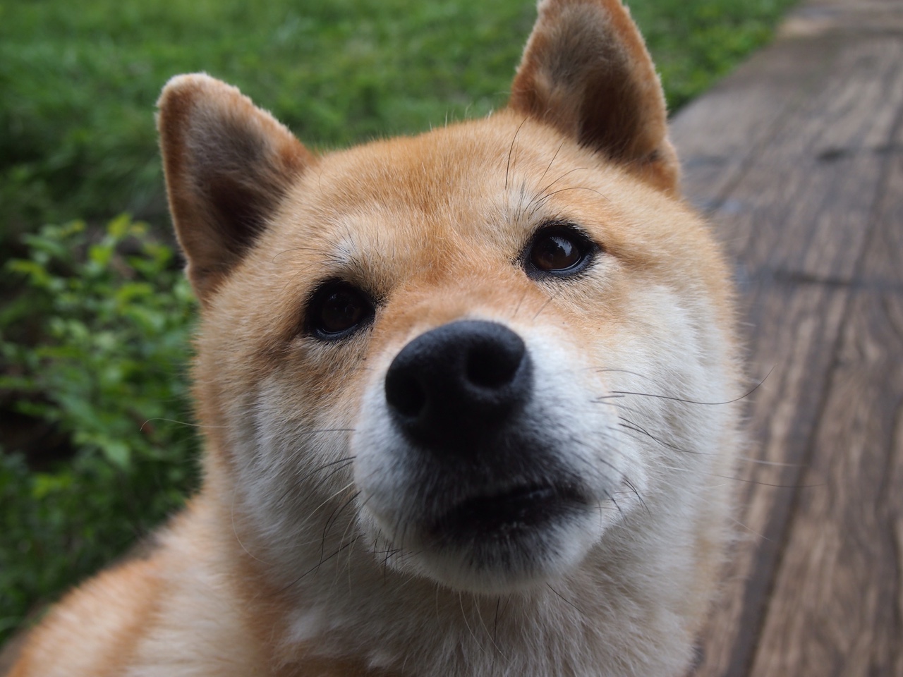 跨界狂飙,篮网升空,赛道惊现三分雨