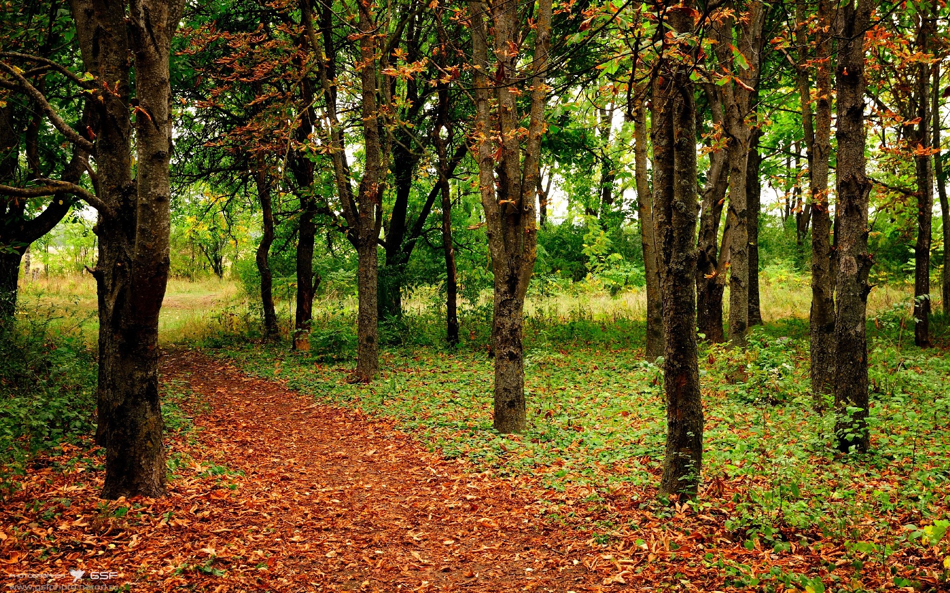 姆巴佩满分演出助皇家社会决胜安哥拉，友谊赛上演进球盛宴