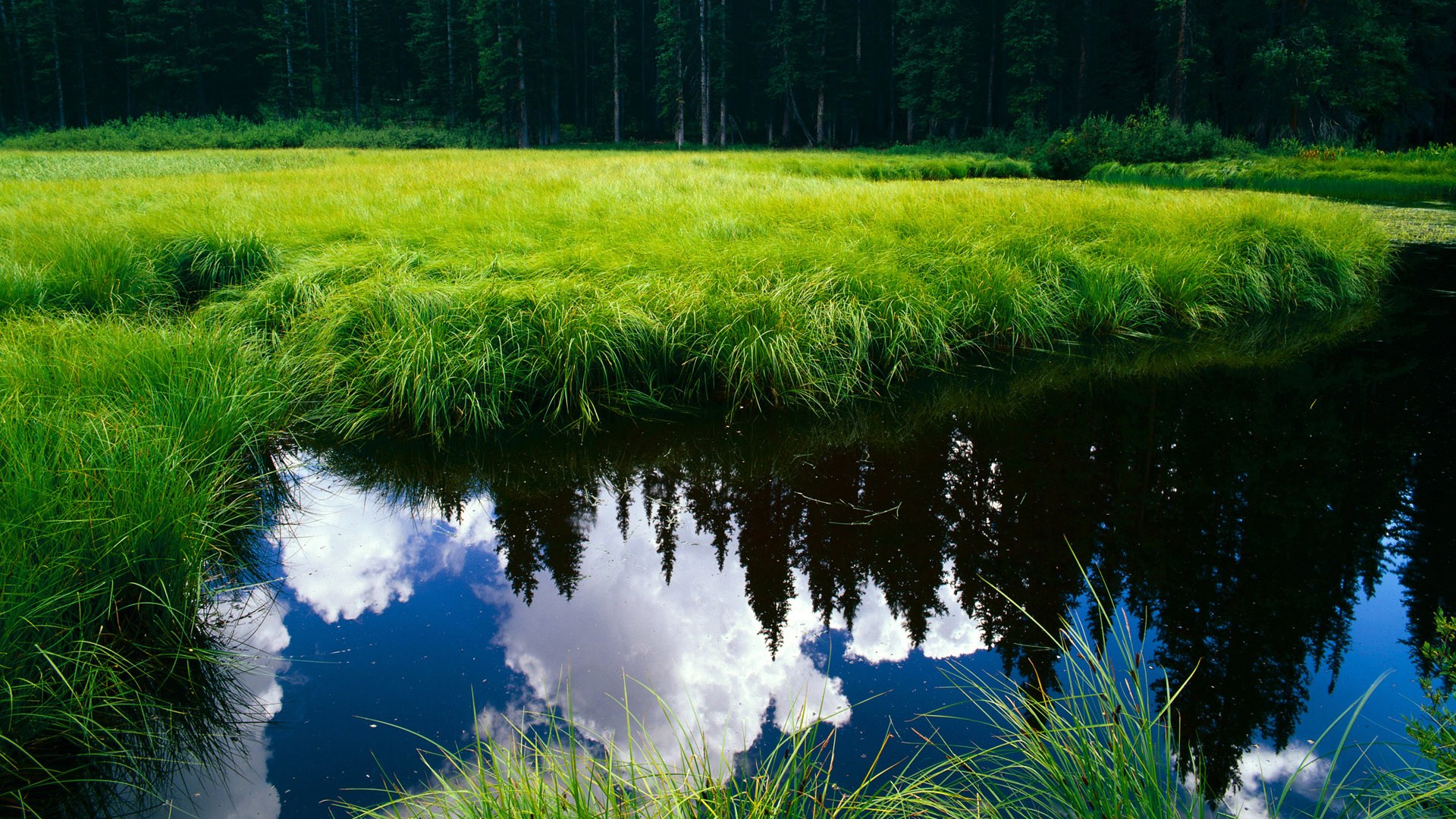 冰火双生，哈登决胜表演与奇才防守铁壁共造独特胜利