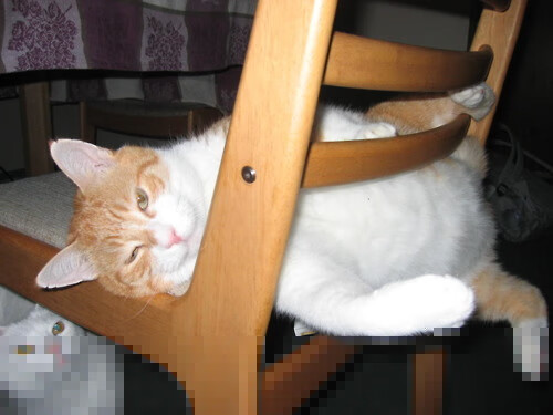 湖人之矛刺穿铁壁！英格拉姆加冕硬仗之王