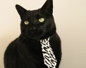 夜狐，雨战福克斯为黑暗赛道带来光明