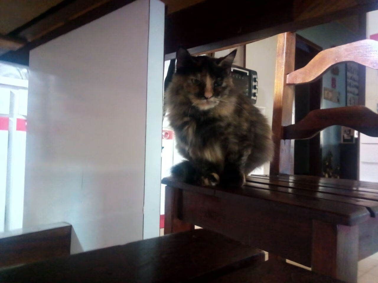 跨界风暴,湖人爆冷广厦队,克莱欧冠半决赛闪耀