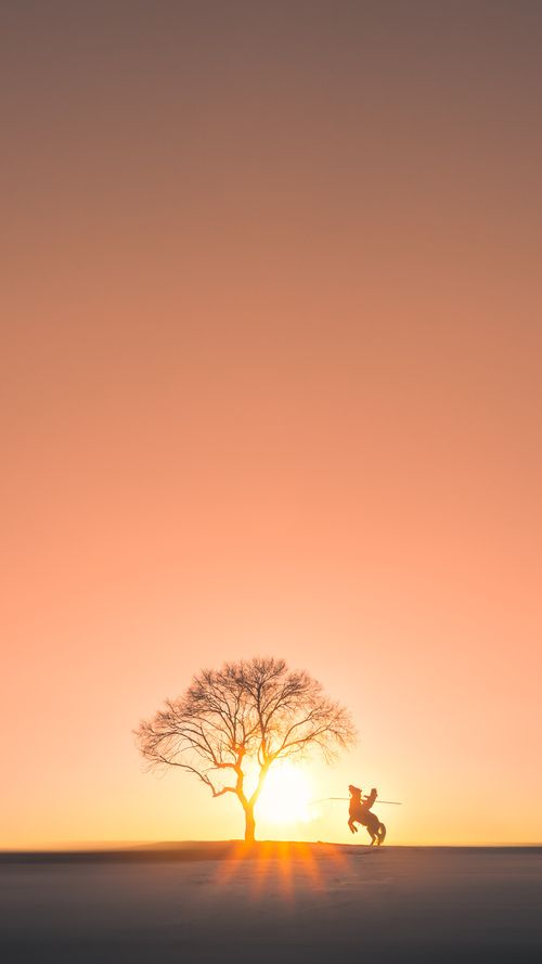 新王当立？班凯罗单核击穿费城防线，复刻艾弗森传奇时刻