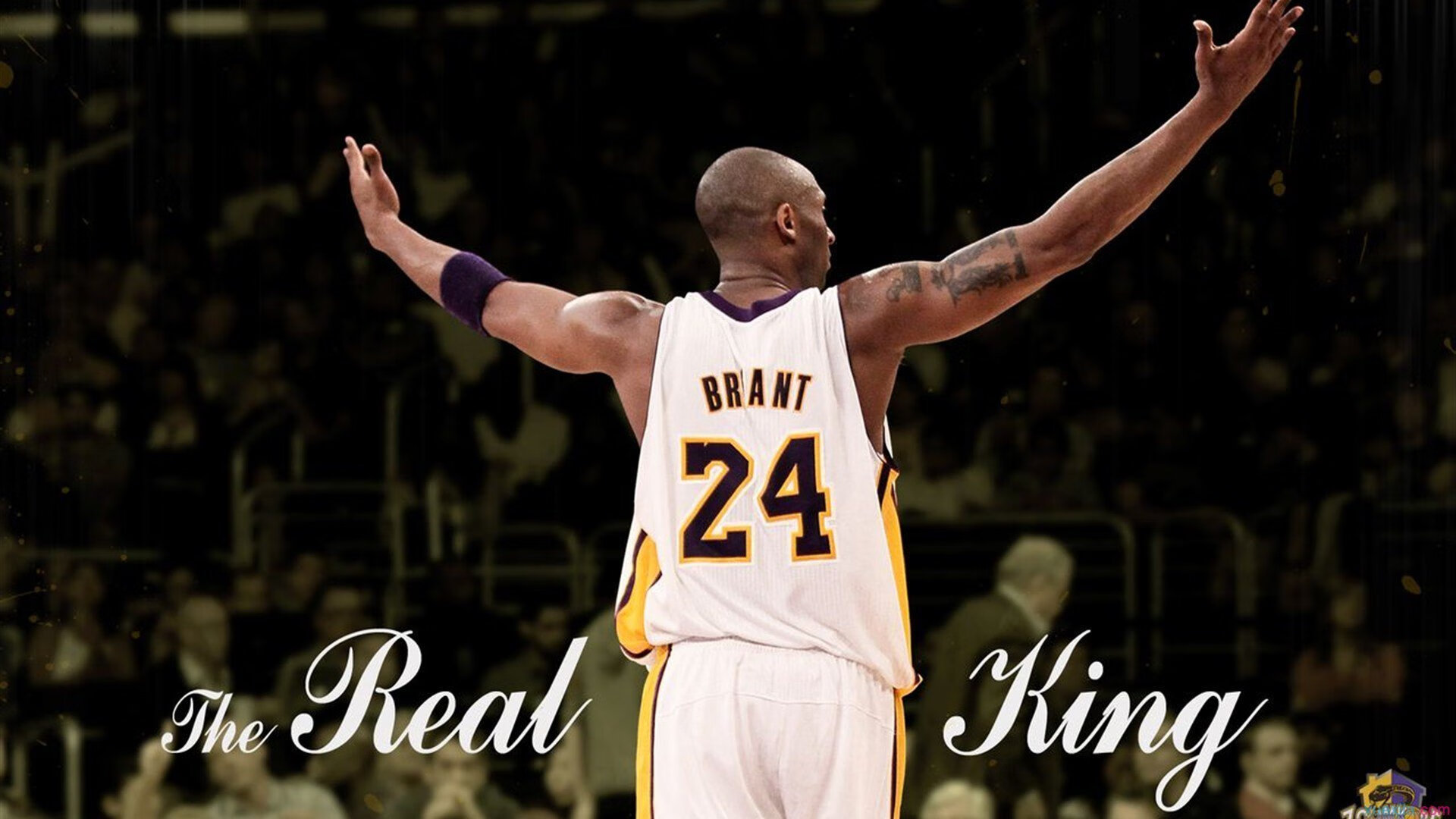 独行之矛对阵坚壁之盾，欧文神勇难敌76人集体防御