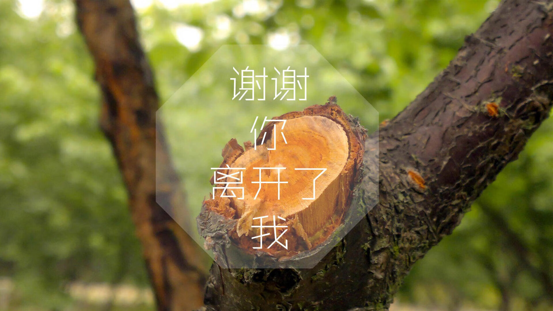 冰与火之歌，2026世界杯的唯一注脚，当南美坚韧刺穿南亚幻梦