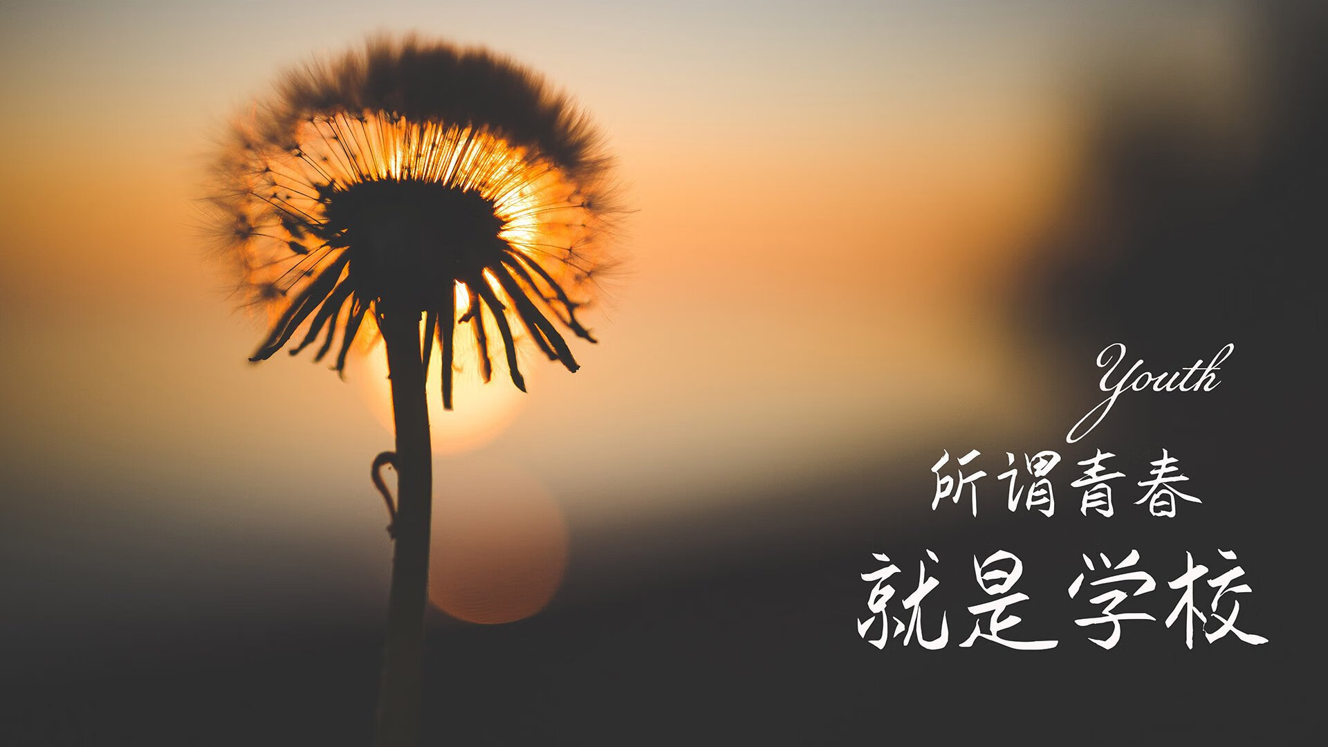 当完美主义者碾过天才，2026年B组那场反足球的胜利