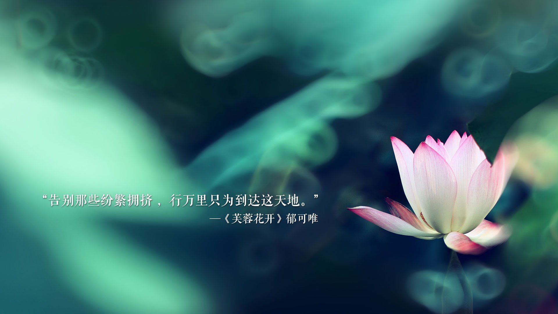 铁与柔的交响，阿根廷钢铁洪流中的托纳利之舞